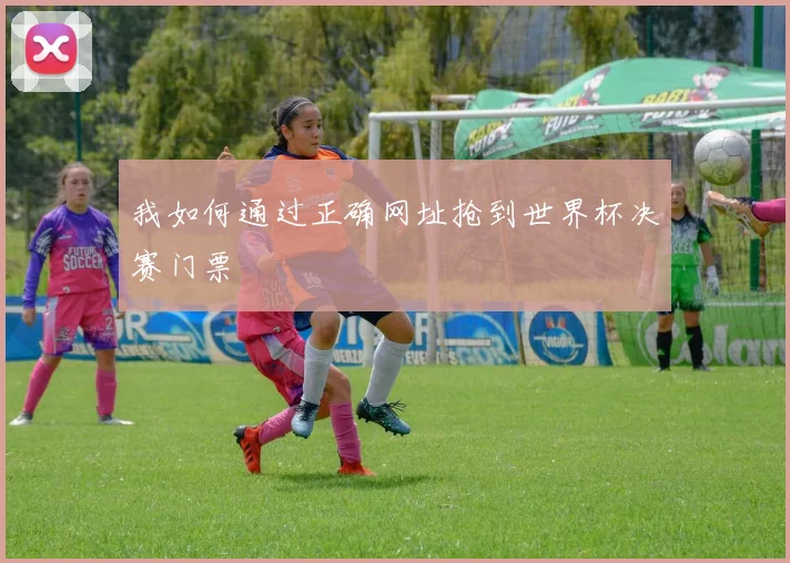 我如何通过正确网址抢到世界杯决赛门票