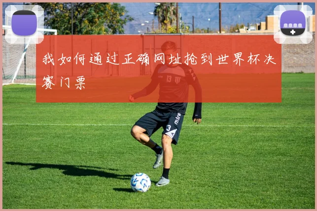 我如何通过正确网址抢到世界杯决赛门票