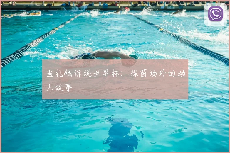 当礼物诉说世界杯：绿茵场外的动人故事