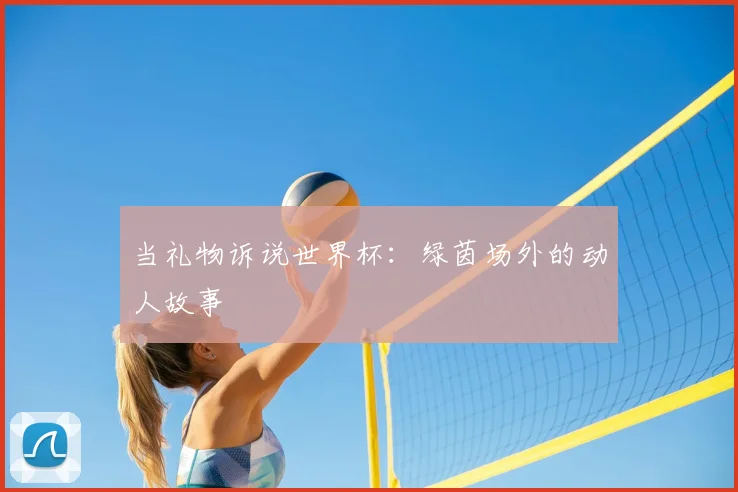 当礼物诉说世界杯：绿茵场外的动人故事